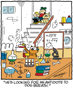 heathcliff